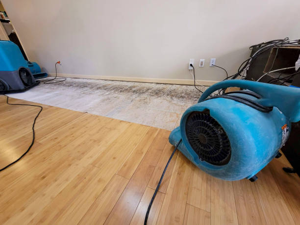 Professional Water Damage Repair technician working in Nichols, SC